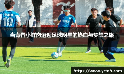 当青春小鲜肉邂逅足球明星的热血与梦想之旅